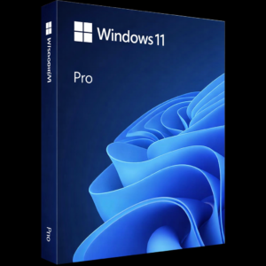 Microsoft DG7GMGF0L4TL Windows 11 Pro - GGWA License